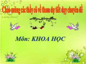 Bài giảng môn Khoa học Khối 4 - Tuần 25, Bài 49: Ánh sáng và việc bảo vệ đôi mắt