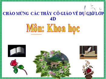 Bài giảng môn Khoa học Lớp 4 - Bài 26: Nguyên nhân làm nước bị ô nhiễm