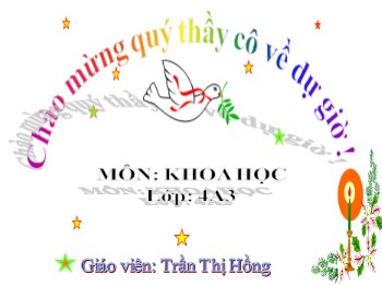 Bài giảng môn Khoa học Lớp 4 - Bài: Phòng tránh tai nạn đuối nước - Trần Thị Hồng