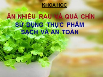 Bài giảng môn Khoa học Lớp 4 - Tiết 10, Bài: Ăn nhiều rau và quả chín sử dụng thực phẩm sạch và an toàn