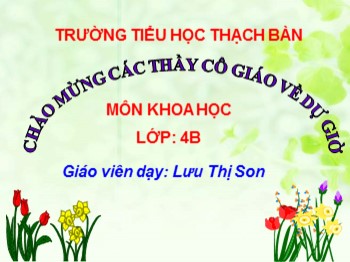 Bài giảng môn Khoa học Lớp 4 - Tiết 14, Bài: Phòng một số bệnh lây qua đường tiêu hoá - Lưu Thị Son