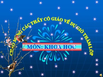 Bài giảng môn Khoa học Lớp 4 - Tiết 16, Bài: Ăn uống khi bị bệnh