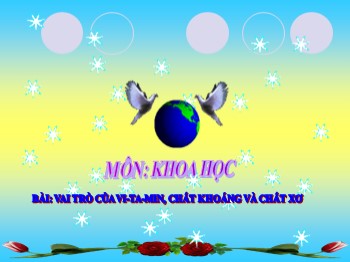 Bài giảng môn Khoa học Lớp 4 - Tiết 6 - Bài: Vai trò của vi-ta-min, chất khoáng và chất xơ