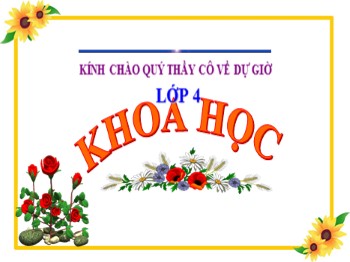 Bài giảng môn Khoa học Lớp 4 - Tuần 11, Bài 22: Mây được hình thành như thế nào ? Mưa từ đâu ra ?