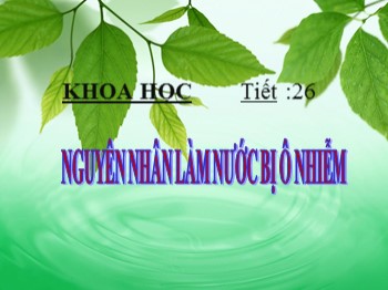 Bài giảng môn Khoa học Lớp 4 - Tuần 13, Tiết 26 - Bài: Nguyên nhân làm nước bị ô nhiễm