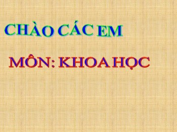 Bài giảng môn Khoa học Lớp 4 - Tuần 15, Bài 30: Làm thế nào để biết có không khí ?