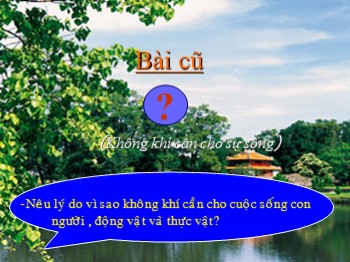 Bài giảng môn Khoa học Lớp 4 - Tuần 19, Bài 37: Tại sao có gió ?