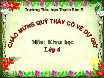 Bài giảng môn Khoa học Lớp 4 - Tuần 19, Bài 38: Gió nhẹ, gió mạnh. Phòng chống bão