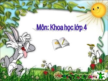 Bài giảng môn Khoa học Lớp 4 - Tuần 2, Bài 4: Các chất dinh dưỡng có trong thức ăn. Vai trò của chất bột đường