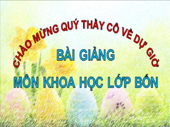 Bài giảng môn Khoa học Lớp 4 - Tuần 22, Bài 43: Âm thanh trong cuộc sống