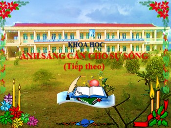 Bài giảng môn Khoa học Lớp 4 - Tuần 24, Bài 47: Ánh sáng cần cho sự sống (Tiếp theo)