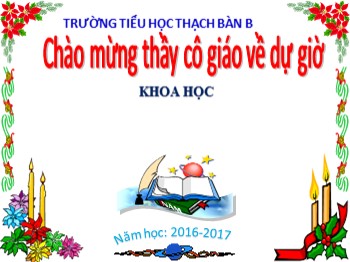 Bài giảng môn Khoa học Lớp 4 - Tuần 25 - Bài: Ánh sáng và việc bảo vệ đôi mắt