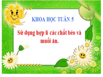 Bài giảng môn Khoa học Lớp 4 - Tuần 5, Bài 9: Sử dụng hợp lí các chất béo và muối ăn