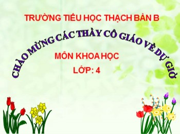 Bài giảng môn Khoa học Lớp 4 - Tuần 7, Tiết 14 - Bài: Phòng một số bệnh lây qua đường tiêu hoá