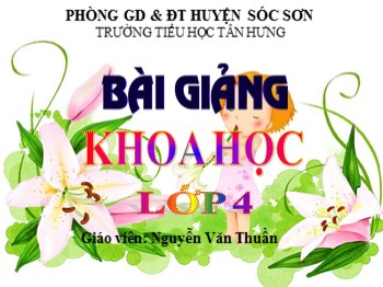 Bài giảng môn Khoa học Lớp 4 - Tuần 9, Bài 17: Phòng tránh tai nạn đuối nước - Nguyễn Văn Thuần