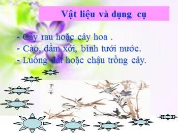 Bài giảng môn Kĩ thuật Lớp 4 - Bài 11: Kĩ thuật trồng cây rau-hoa