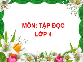 Bài giảng môn Tập đọc Khối 4 - Tuần 13 - Bài: Người tìm đường lên các vì sao