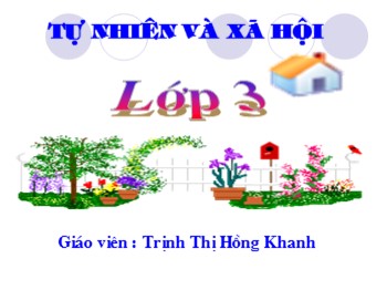 Bài giảng môn Khoa học Lớp 4 - Bài 23: Phòng cháy khi ở nhà - Trịnh Thị Hồng Khanh