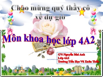 Bài giảng môn Khoa học Lớp 4 - Tuần 15, Bài 30: Làm thế nào để biết có không khí ? - Nguyễn Mai Anh