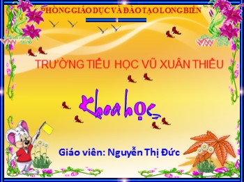 Bài giảng môn Khoa học Lớp 4 - Tuần 18 - Bài: Không khí cần cho sự cháy - Nguyễn Thị Đức