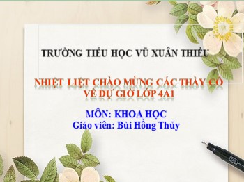 Bài giảng môn Khoa học Lớp 4 - Tuần 23 - Bài: Ánh sáng - Bùi Hồng Thủy