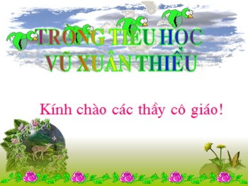 Bài giảng môn Tin học Lớp 4 - Tuần 8, Bài 5: Vẽ tự do bằng cọ vẽ, bút chì