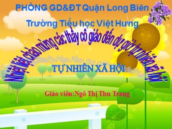 Bài giảng môn Tự nhiên và xã hội Lớp 1 - Chủ đề: Tự nhiên - Ngô Thị Thu Trang