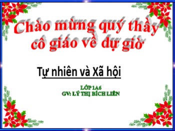 Giáo án điện tử môn Thủ công Lớp 1 - Bài 4: Bảo vệ mắt và tai - Lý Thị Bích Liên