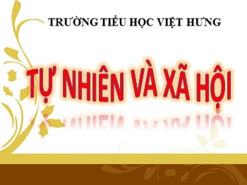 Giáo án điện tử môn Tự nhiên và xã hội Lớp 1 - Bài 12: Nhà ở