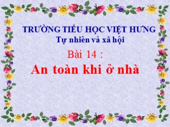 Giáo án điện tử môn Tự nhiên và xã hội Lớp 1 - Bài 14: An toàn khi ở nhà