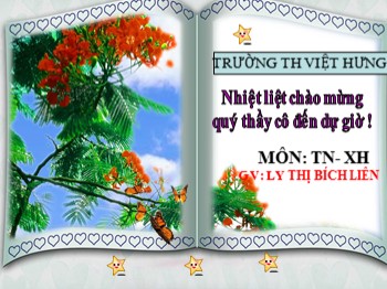 Giáo án điện tử môn Tự nhiên và xã hội Lớp 1 - Bài 8: Ăn, uống hằng ngày - Ly Thị Bích Liên