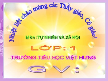 Giáo án điện tử môn Tự nhiên và xã hội Lớp 1 - Bài: Công việc ở nhà