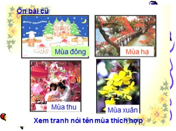 Bài giảng môn Luyện từ và câu Khối 2 - Tuần 21 - Bài: Từ ngữ về chim chóc. Đặt và trả lời câu hỏi ở đâu ?