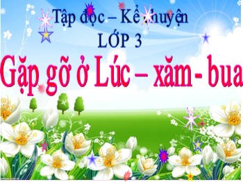 Bài giảng môn Tập đọc-Kể chuyện Lớp 3 - Tuần 30 - Bài: Gặp gỡ ở Lúc-xăm-bua