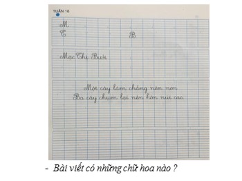 Bài giảng môn Tập viết Lớp 3 - Tuần 16 - Bài: Ôn chữ hoa M