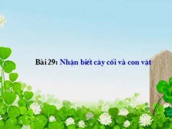 Bài giảng môn Tự nhiên và xã hội Lớp 1 - Bài 29: Nhận biết cây cối và con vật