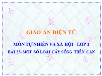 Bài giảng môn Tự nhiên và xã hội Lớp 2 - Bài 25: Một số loài cây sống trên cạn