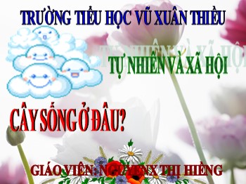 Bài giảng môn Tự nhiên và xã hội Lớp 2 - Tiết 24: Cây sống ở đâu? - Nguyễn Thị Hiềng