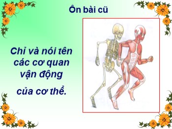 Bài giảng môn Tự nhiên và xã hội Lớp 2 - Tuần 2 - Bài: Bộ xương