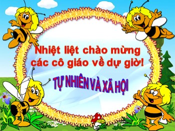 Bài giảng môn Tự nhiên và xã hội Lớp 2 - Tuần 29 - Bài: Một số loài vật sống dưới nước