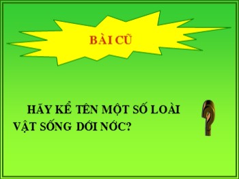 Bài giảng môn Tự nhiên và xã hội Lớp 2 - Tuần 34 - Bài: Ôn tập tự nhiên