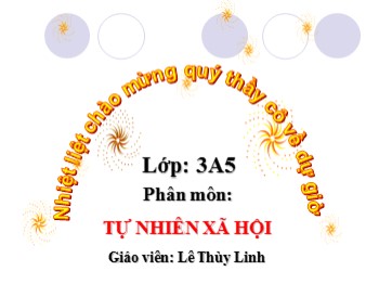 Bài giảng môn Tự nhiên và xã hội Lớp 3 - Bài 42: Thân cây (Tiếp theo) - Lê Thùy Linh