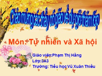 Bài giảng môn Tự nhiên và xã hội Lớp 3 - Bài 9: Phòng bệnh tim mạch - Phạm Thị Hằng