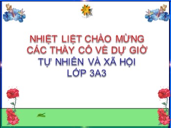 Bài giảng môn Tự nhiên và xã hội Lớp 3 - Tuần 12 - Bài 23: Phòng cháy khi ở nhà