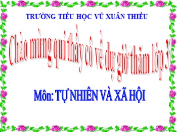 Bài giảng môn Tự nhiên và xã hội Lớp 3 - Tuần 19 - Bài: Vệ sinh môi trường