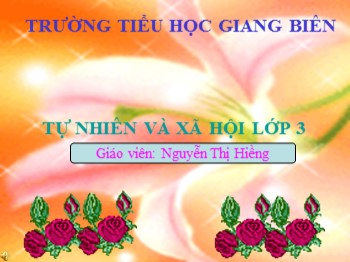 Bài giảng môn Tự nhiên và xã hội Lớp 3 - Tuần 23 - Bài: Lá cây - Nguyễn Thị Hiềng