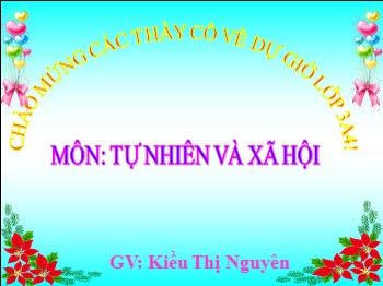 Bài giảng môn Tự nhiên và xã hội Lớp 3 - Tuần 24 - Bài: Qủa - Kiều Thị Nguyên