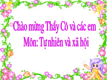 Bài giảng môn Tự nhiên và xã hội Lớp 3 - Tuần 25 - Bài: Côn trùng