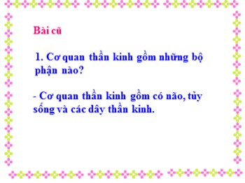 Bài giảng môn Tự nhiên và xã hội Lớp 3 - Tuần 7, Bài 13: Hoạt động thần kinh