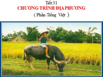 Bài giảng môn Ngữ Văn Lớp 8 - Tiết 31: Chương trình địa phương (Phần Tiếng Việt)